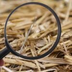 Needle is lost in haystack and searching with loupe