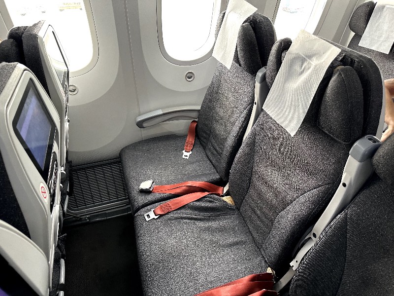 Avianca Boeing 787 Economy Class seats