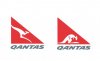 qantas roo wounded.jpg