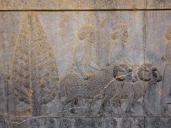 Iran day 9 Persepolis and Shiraz-26a.jpg