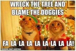 52744-Blame-The-Doggies.jpg