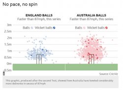 Cricket.JPG