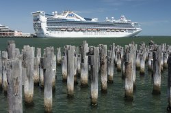 golden_princess_n7k2_20624.jpg