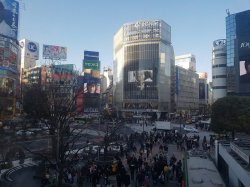 Shibuya1.jpg