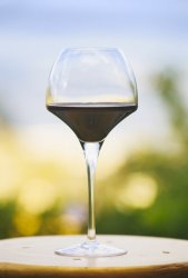 wine glass in the sun copy.jpg