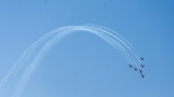 roulettes_n7k2_20739.jpg