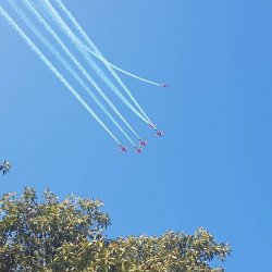 Roulettes.jpg