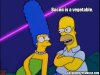 homer-simpson-bacon-quotes-9.jpg