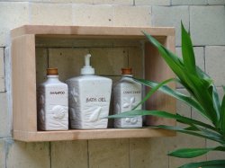 Deluxe Beach Villa - Shower Toiletries.JPG