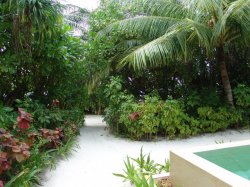 Deluxe Beach Villa - Direct Private Beach Access Path.JPG