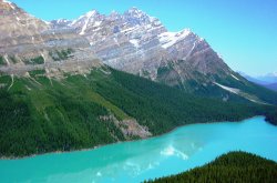 Peyto Lake.jpg