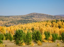 Autumn colours, Russia Sept 18-5.jpg