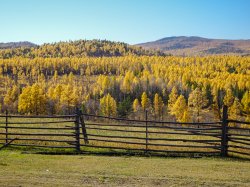 Autumn colours, Russia Sept 18-10.jpg