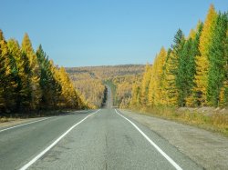 Autumn colours, Russia Sept 18-13.jpg