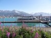 Seaward, Alaska and cruise boat.jpg