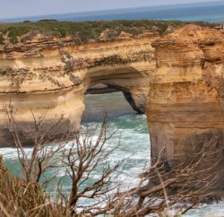 Great Ocean Road (34 of 96).jpg