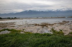 Kaikoura-16.jpg