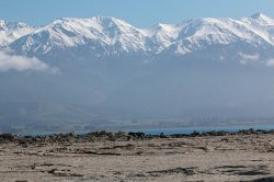 Kaikoura-39.jpg