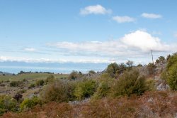 Nelson - Abel Tasman Park-26.jpg