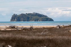 Nelson - Abel Tasman Park-58 (2).jpg