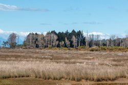 Nelson - Abel Tasman Park-58 (3).jpg