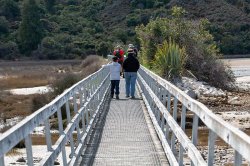 Nelson - Abel Tasman Park-58 (4).jpg