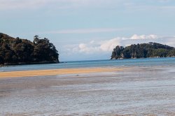 Nelson - Abel Tasman Park-58 (6).jpg