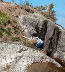 Nelson - Abel Tasman Park-58 (8).jpg