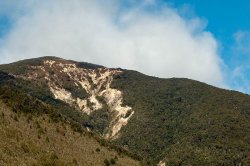 Road Trip to Punakaiki-2.jpg