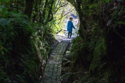 Road Trip to Punakaiki-14.jpg