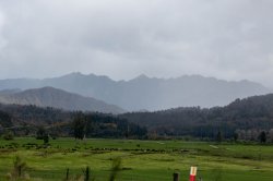 Road Trip to Punakaiki-23.jpg