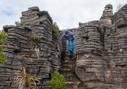 Road Trip to Punakaiki-57.jpg