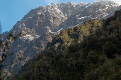 Franz Josef Glacier-1.jpg