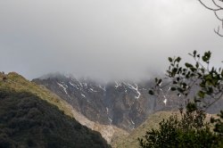 Franz Josef Glacier-4.jpg