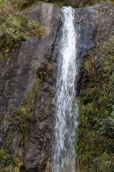 Franz Josef Glacier-21.jpg