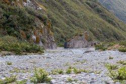 Franz Josef Glacier-47.jpg