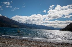 Road trip to Milford Sound-25.jpg