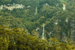 Milford Sound (1).jpg