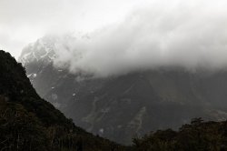 Milford Sound (6).jpg