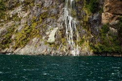 Milford Sound (12).jpg