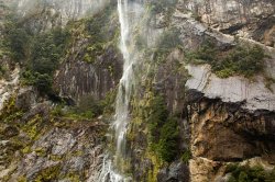 Milford Sound (14).jpg