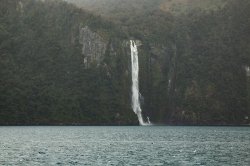 Milford Sound (24).jpg