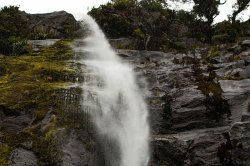 Milford Sound (34).jpg