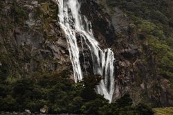 Milford Sound (69).jpg