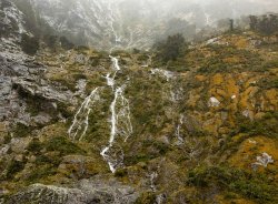 Milford Sound (77).jpg