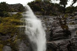 Milford Sound (104).jpg