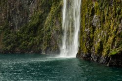 Milford Sound (130).jpg