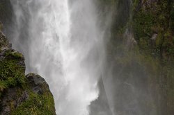 Milford Sound (141 of 17).jpg