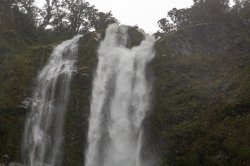 Milford Sound (151 of 17).jpg