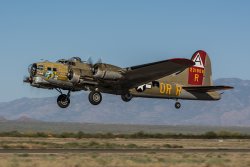 b17.jpg